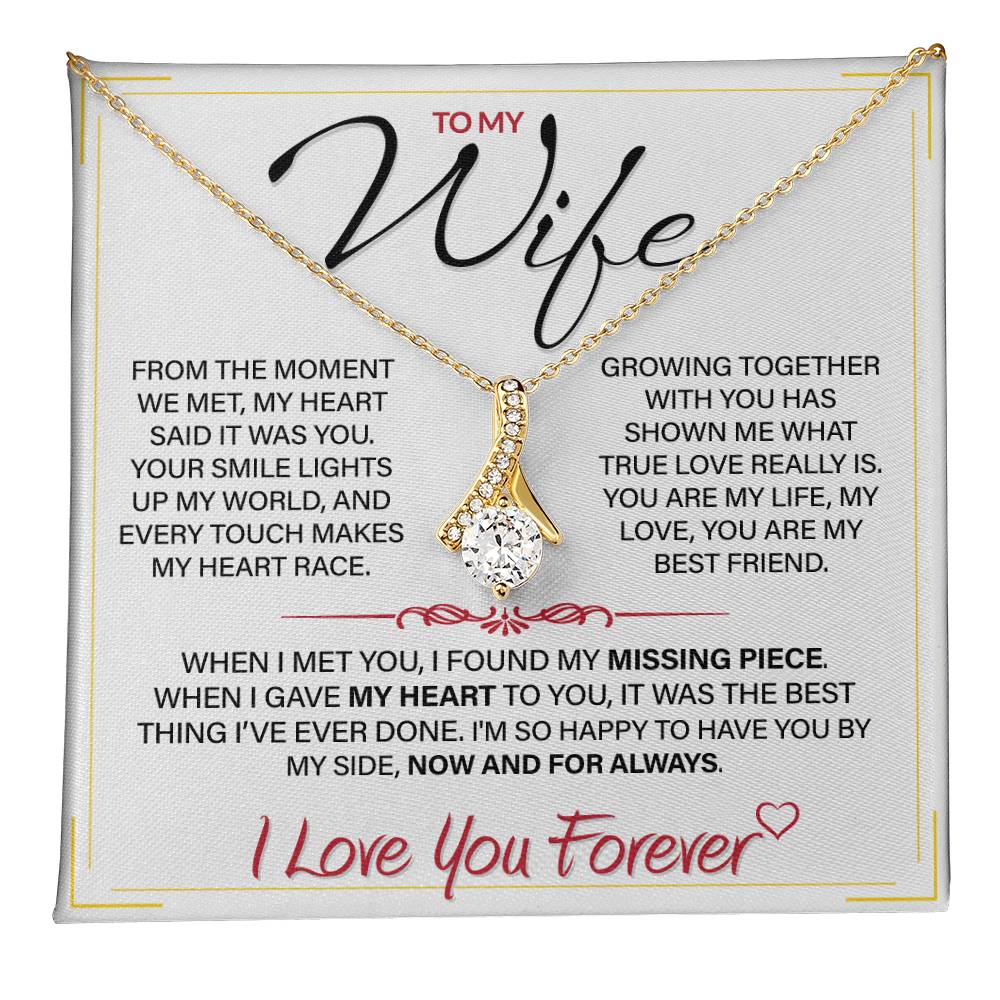 Best Gift for Your Wife: Forever Love Necklace - Remind Her of Your Love