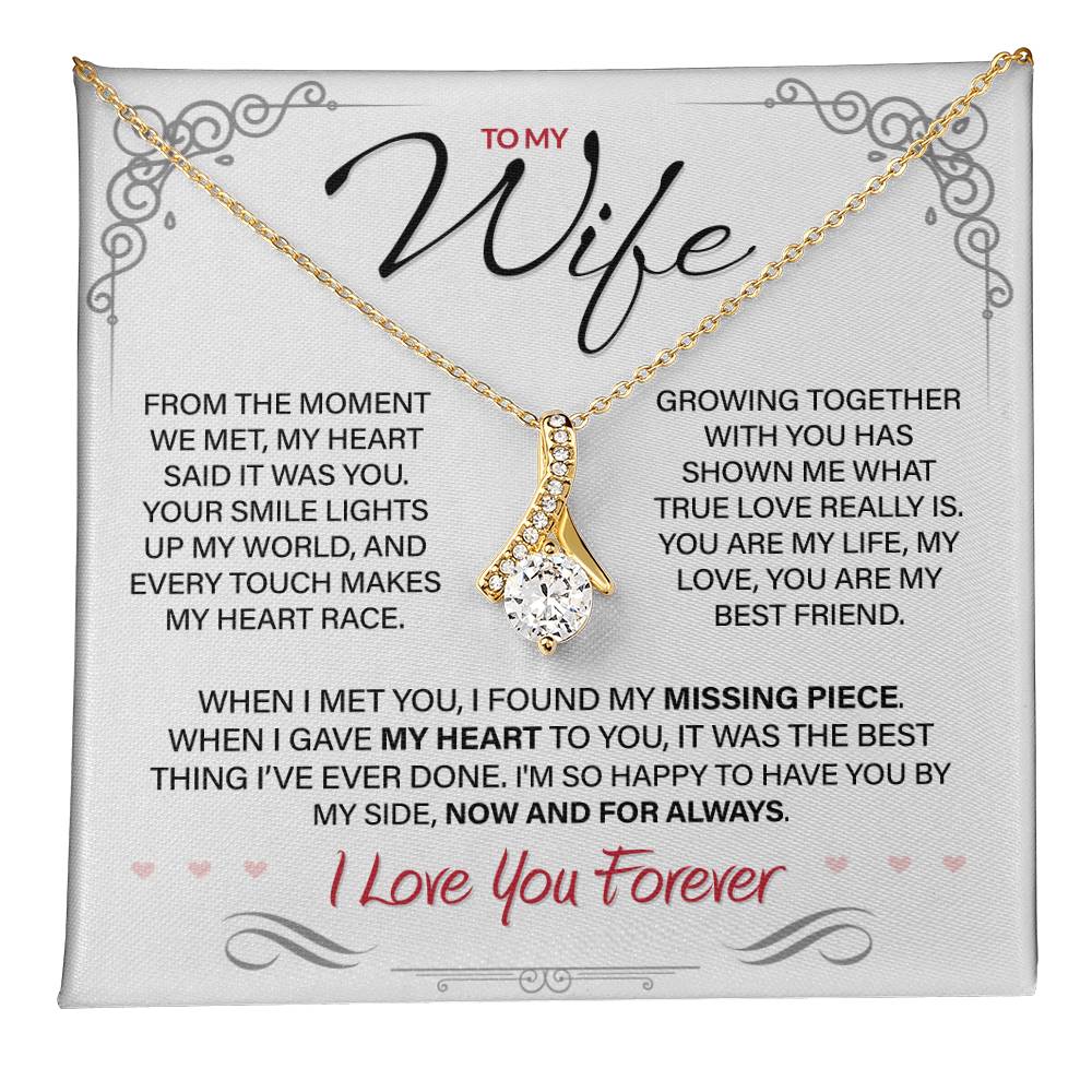 Best Gift for Your Wife: Forever Love Necklace - Remind Her of Your Love