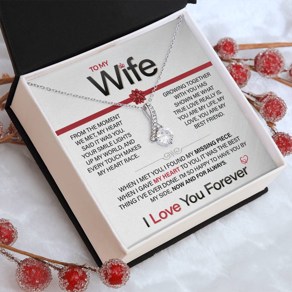 Best Gift for Your Wife: Forever Love Necklace - Remind Her of Your Love