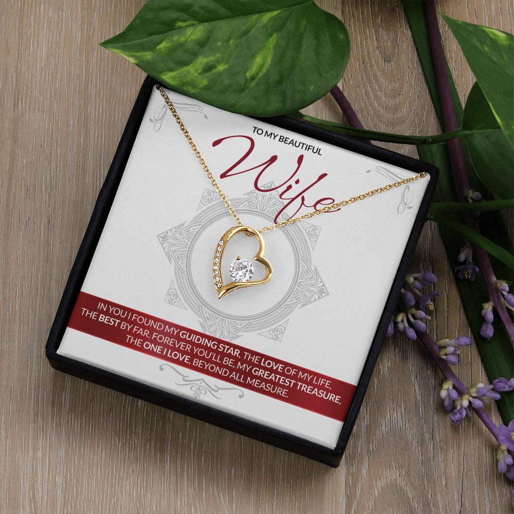 Best Gift for Wife: Forever Treasure Heart Necklace to Melt Her Heart [Light]