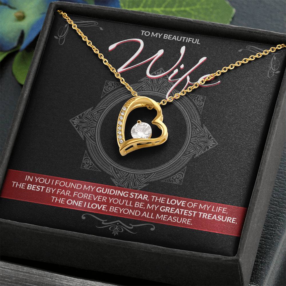 Best Gift for Wife: Forever Treasure Heart Necklace to Melt Her Heart [Dark]